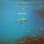 RACHEL FAHIM - DEEP END