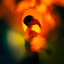 AI: Cassidy - Sandburr Kitchen 4-8 Grab &