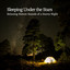 Sleeping Under the Stars: Relaxing Nature Sounds of a Starry Night cover