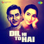 Dil Hi to Hai (Original Motion Picture Soundtrack) cover