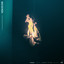 Light It Up artwork