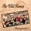 Stampede cover