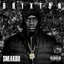 Brixton cover
