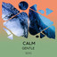 Calm Gentle Seas cover