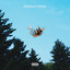 Distractions cover
