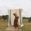 ERIN KINSEY - TEXAS TONIGHT
