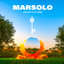 Dear future Marsolo