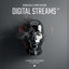 Digital Streams - Extended Mix