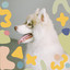 (Chill Out Sax) Music for Well Behaved Doggies cover