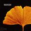 Autumn Leaves - Extended Mix
