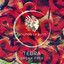 Tebra - Break Free