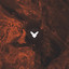 Cosmic Dust