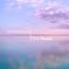 Calm Classics: The Piano cover