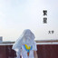 众神 cover