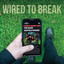 The David Mayfield Parade - Wired to Break