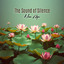 Nushaba Rzayeva — Last Laugh cover art
