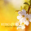 Cura Vibracional cover