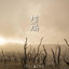 Rutsubo cover