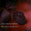 Sleep Inducing Nighttime Rain Shower Sounds Vol. 1 cover