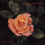 Coming Up Roses - Ryan Marvel