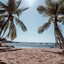 Agua Blanca cover