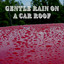Gentle Rain on a Car Roof cover