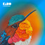 Hummingbird cover