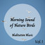 Meditation Music: Morning Sound of Nature Birds Vol. 1 cover