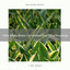 Ultra White Noise Compilation For Total Recharge cover