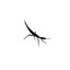 Daemon