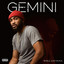 Gemini cover