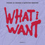 Fedde Le Grand & Quinten Mertns - What I Want