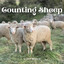 Sleep Music: Counting Sheep cover