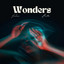 Wonders - Fridaee
