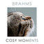 Brahms Cosy Moments cover
