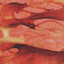 Cannibal Holocaust