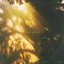 EyeSee - Radiance
