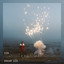 Din cover