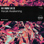 Kecak Awakening - Extended Mix