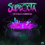 Crystals & Kombucha, Pt 2 cover