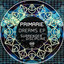 A New Dream - Surrender Discipline Remix