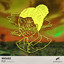 Fly artwork