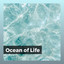 Ocean of Life cover