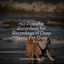 50 Peaceful Recordings for Recordings of Deep Sleep For Dogs cover