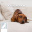 Calming Music for Dogs