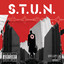 S.T.U.N. profile