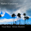 Visual Music - Retrato Brasileiro cover