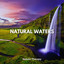 Natural Music Therapy - Gentle Ocean Birds Play