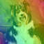 Feelings for Barking Dogs cover
