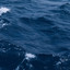Stormy Ocean Waves Sounds cover